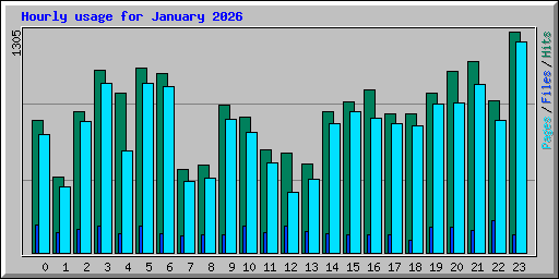 Hourly usage for January 2026